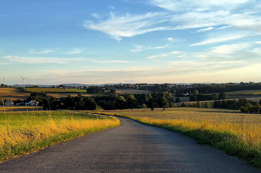 Landschaft Straße Baeume