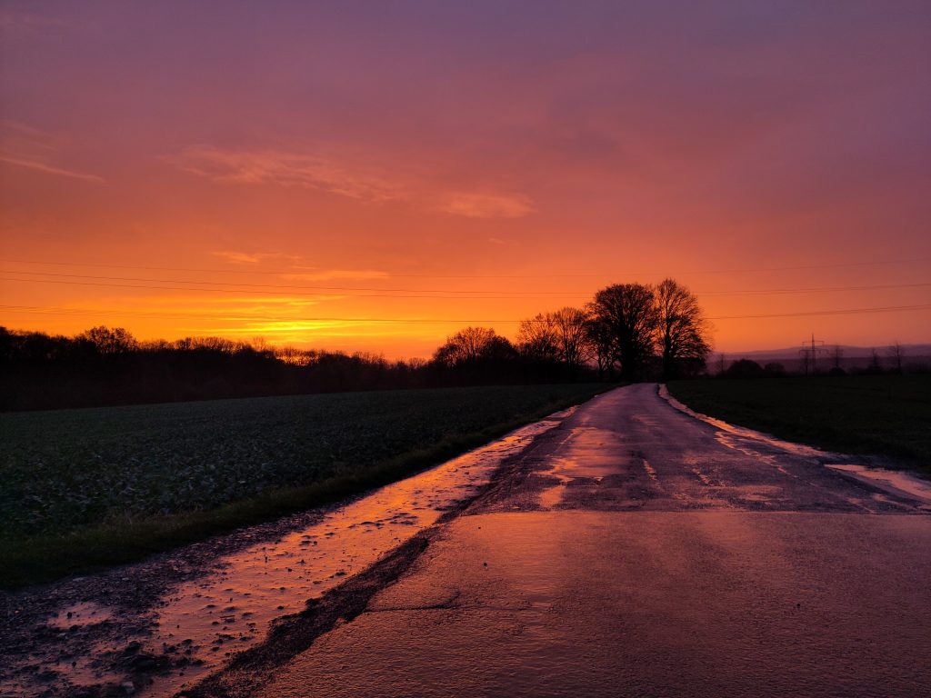 Straße Sonnenaufgang Baum